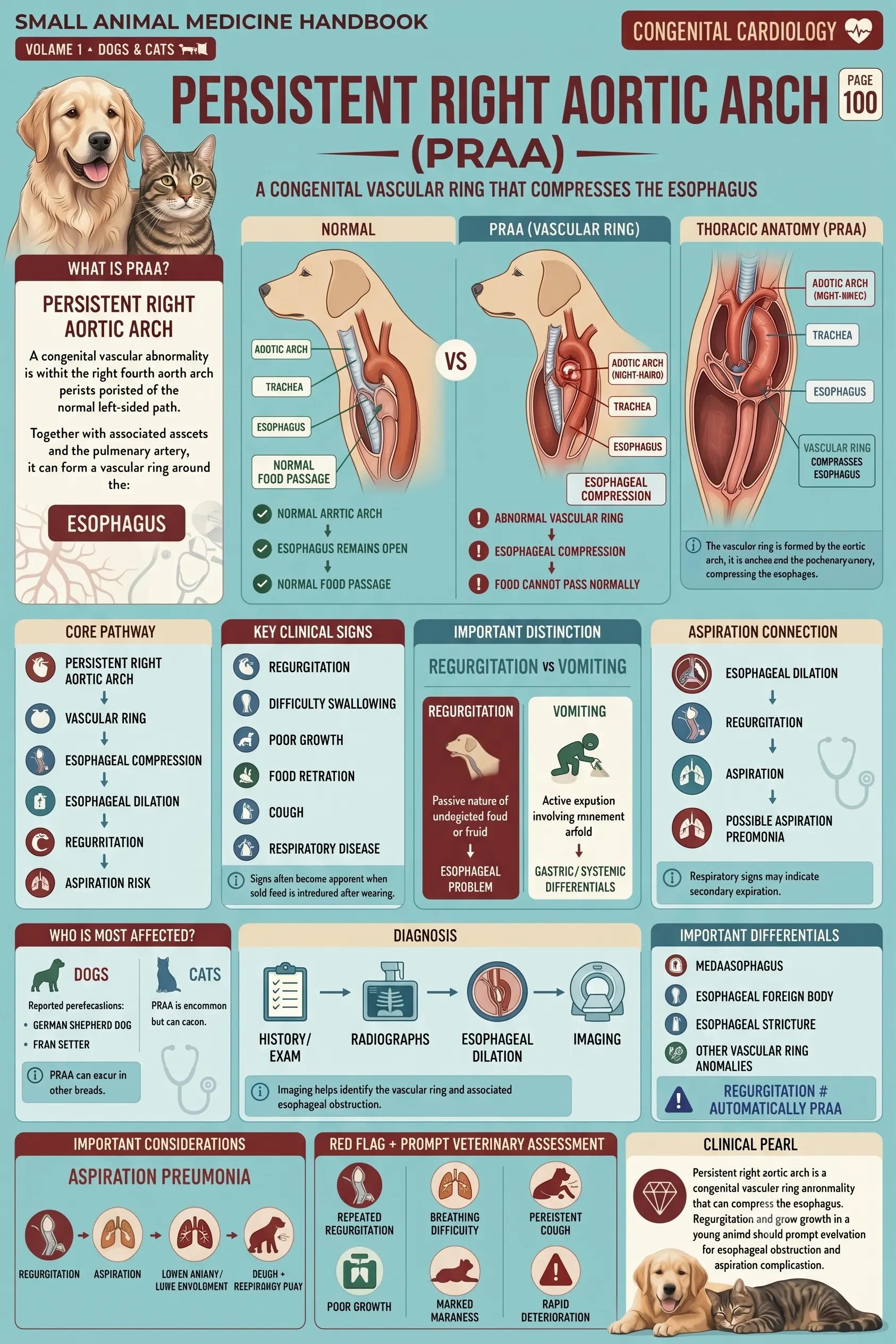 Sample handbook page
